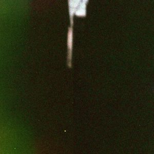 Photo #12