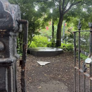 Photo #62